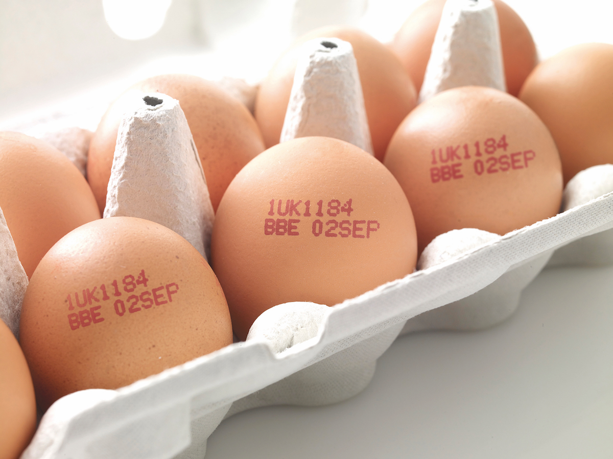Egg Stamp - Traditional Egg Stamping for small local farms